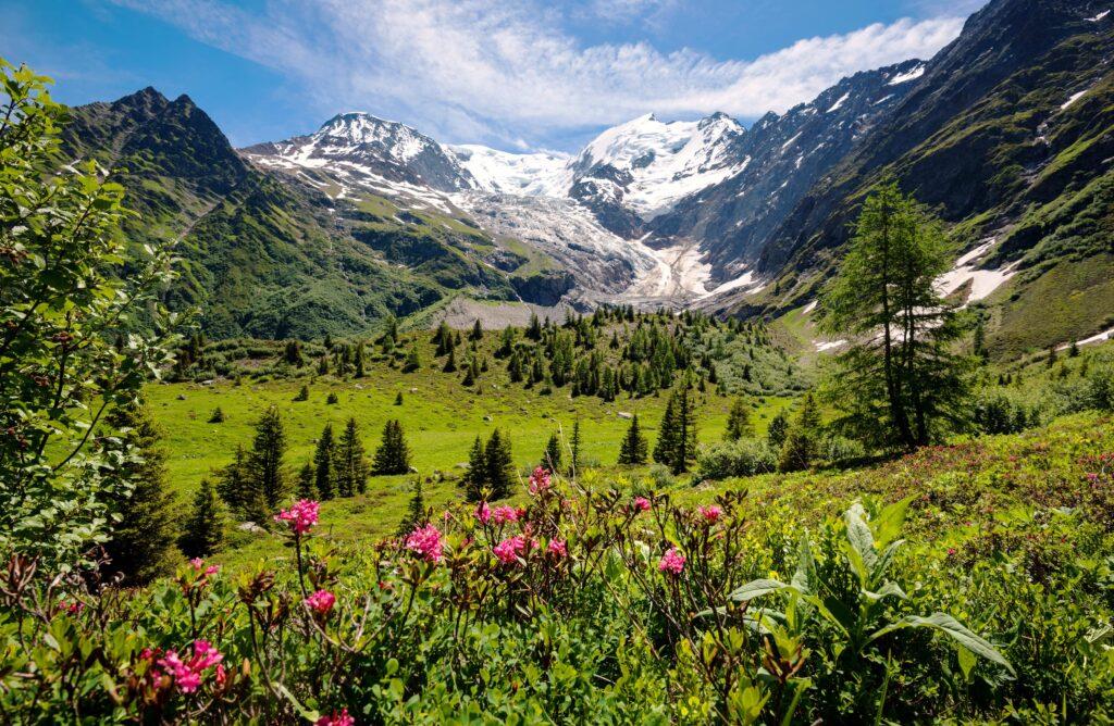 French Alps